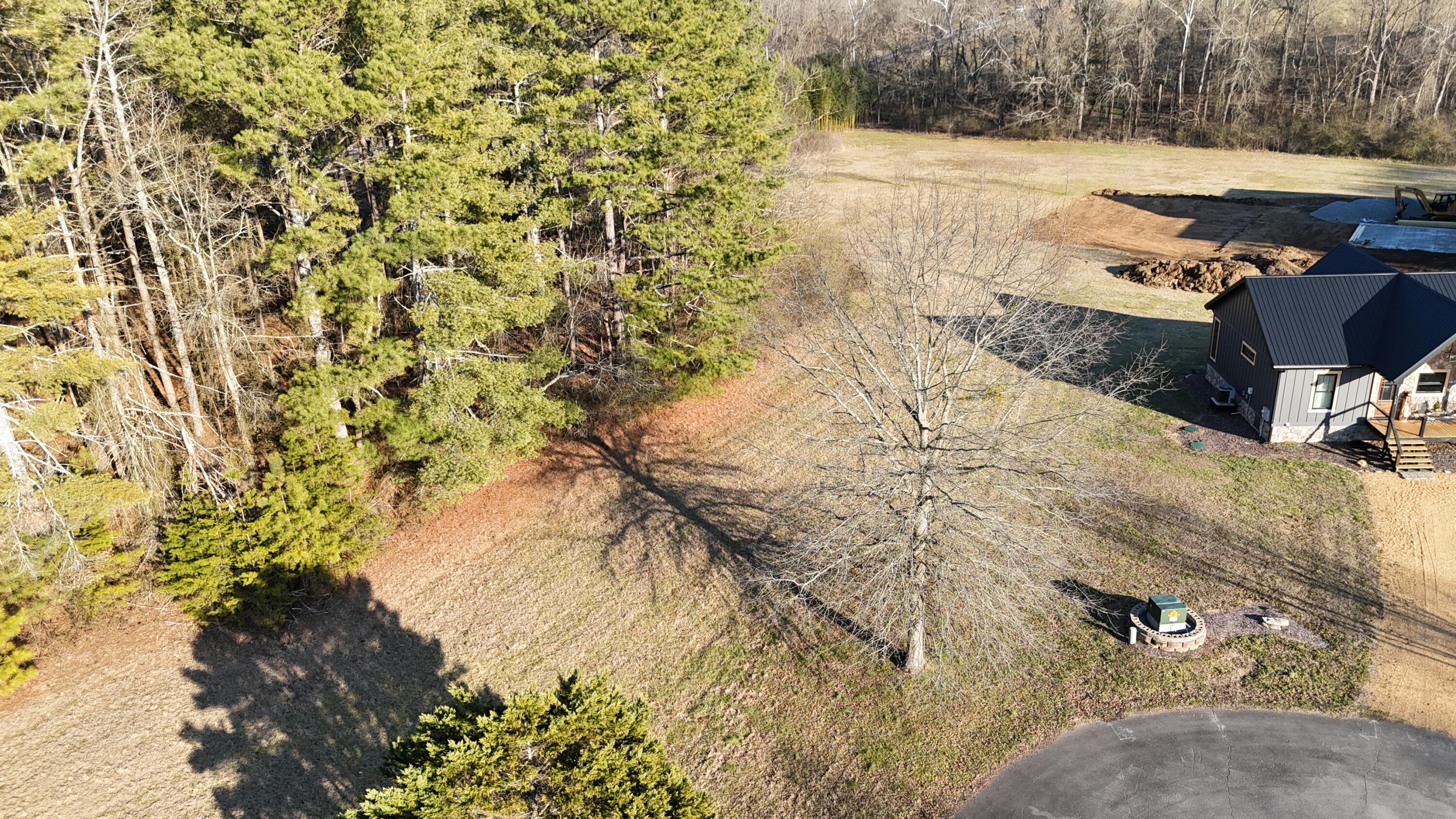 109 Tadpole Lane Benton, TN 37307 - Photo 19 of 48 dji_fly_20260209_163824_0095_17706753747