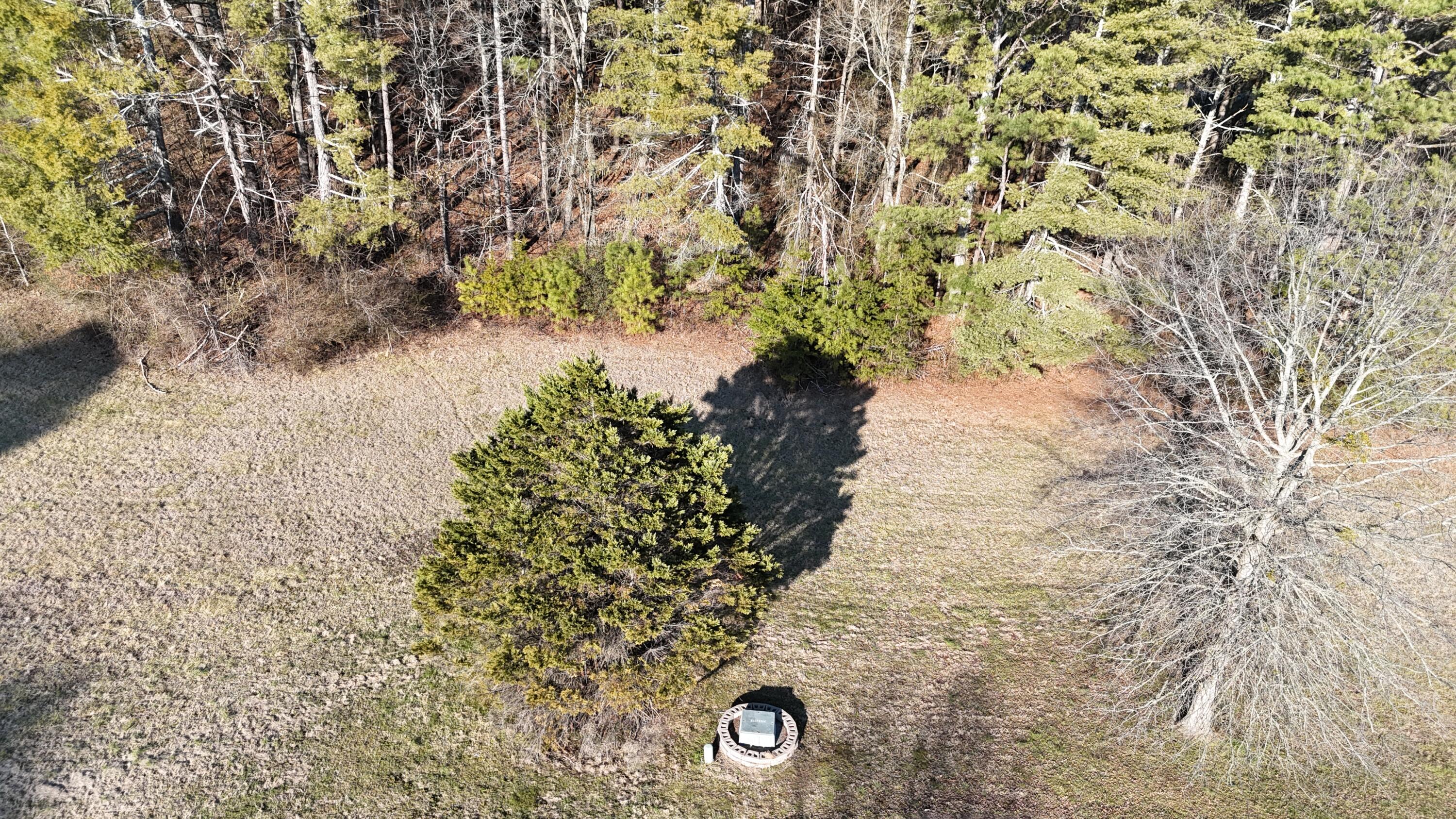 109 Tadpole Lane Benton, TN 37307 - Photo 20 of 48 dji_fly_20260209_163836_0096_17706753734