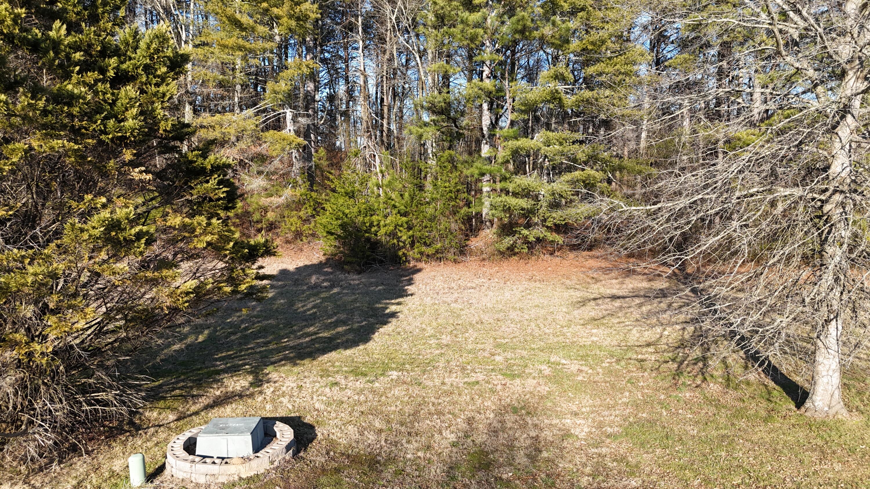 109 Tadpole Lane Benton, TN 37307 - Photo 26 of 48 dji_fly_20260209_163514_0086_17706753870