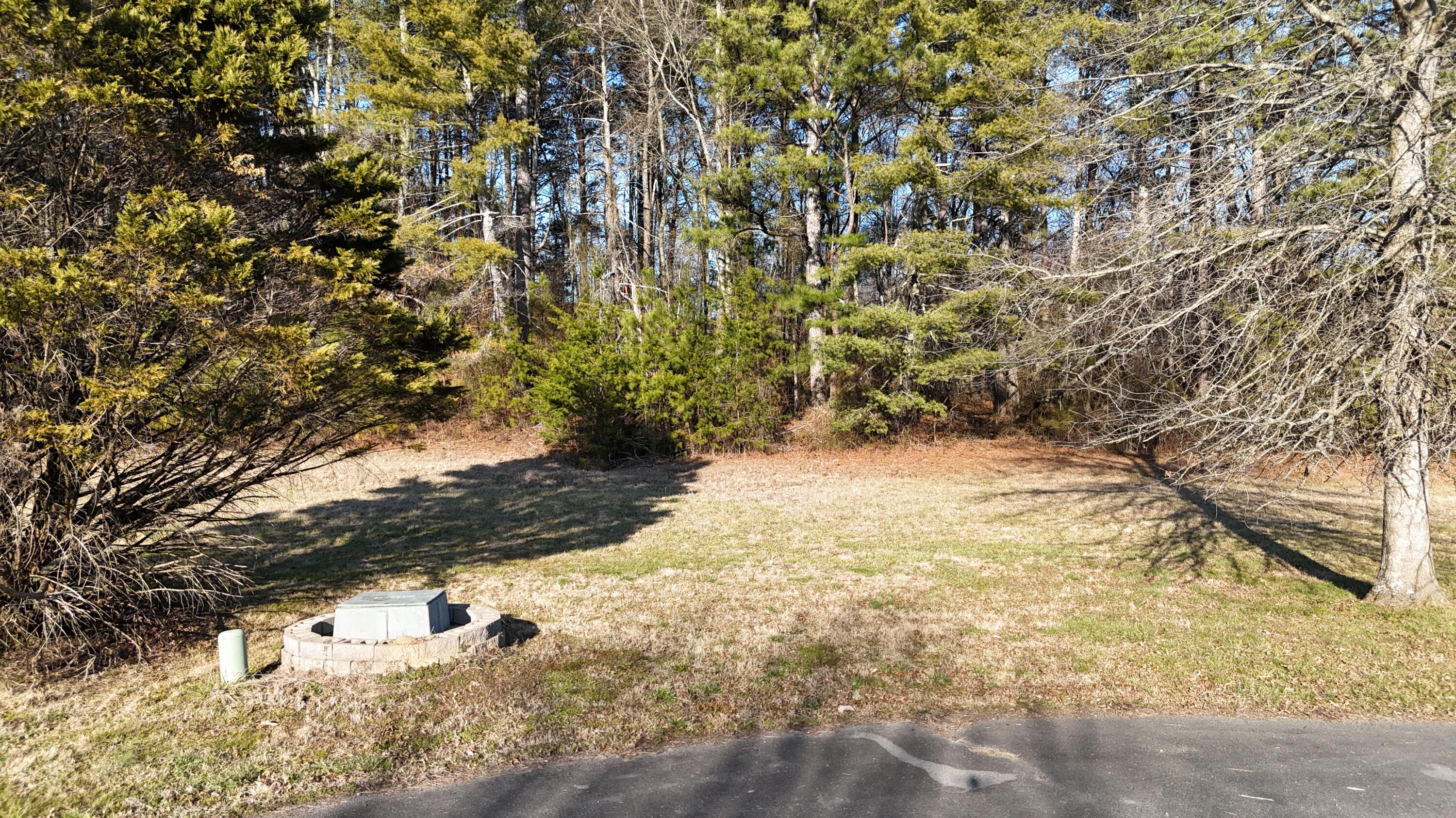 109 Tadpole Lane Benton, TN 37307 - Photo 27 of 48 dji_fly_20260209_163520_0087_17706753858