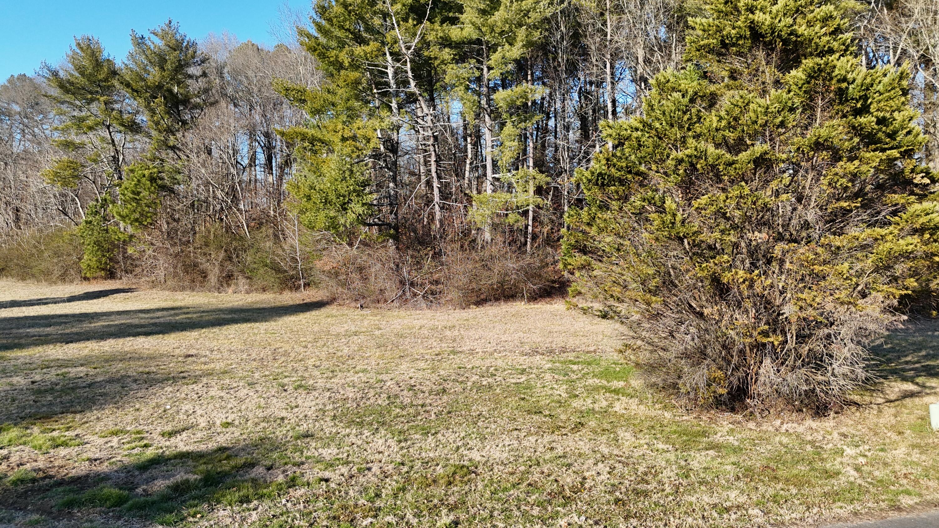 109 Tadpole Lane Benton, TN 37307 - Photo 28 of 48 dji_fly_20260209_163538_0088_17706753841