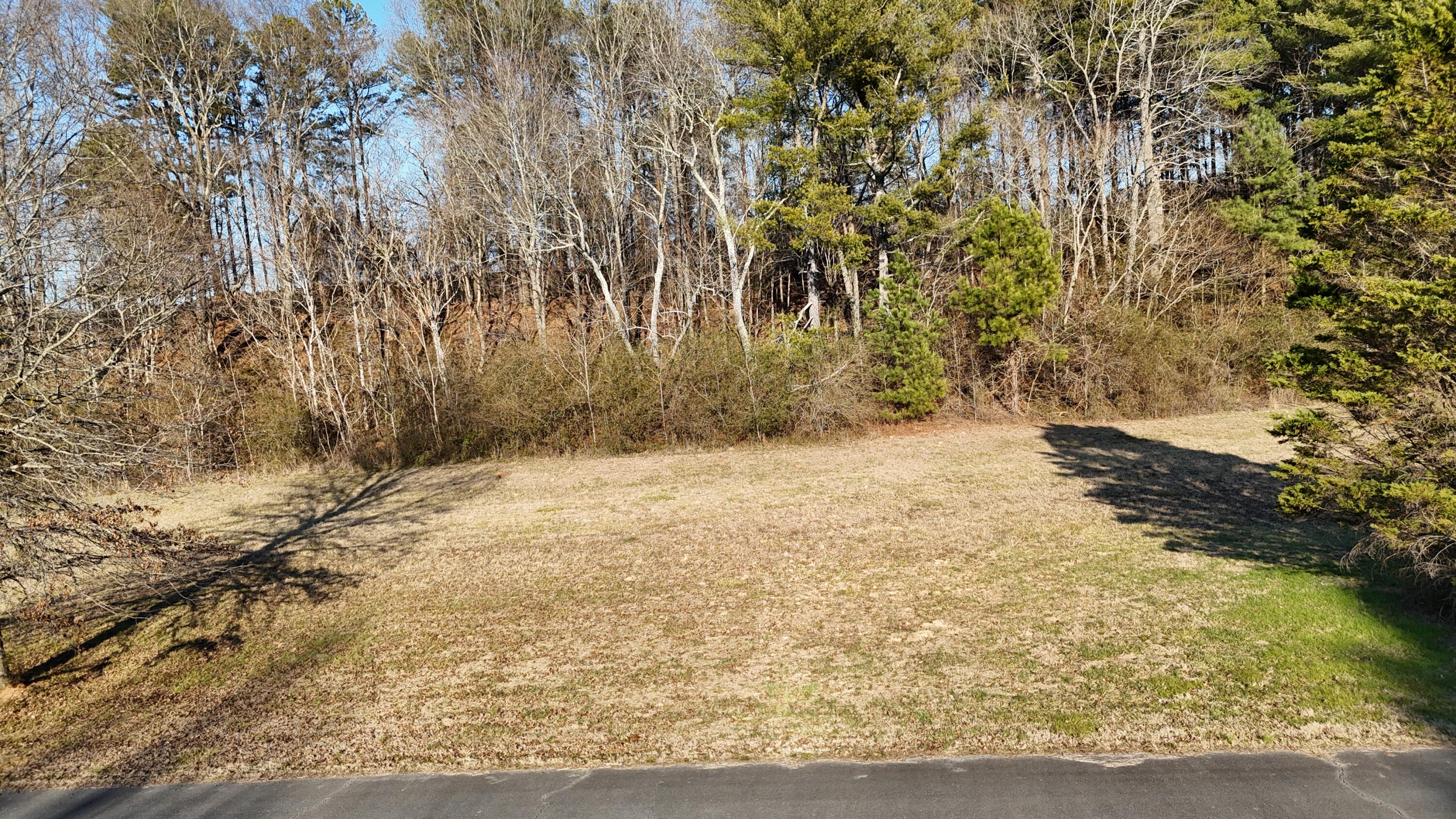 109 Tadpole Lane Benton, TN 37307 - Photo 29 of 48 dji_fly_20260209_163610_0089_17706753828