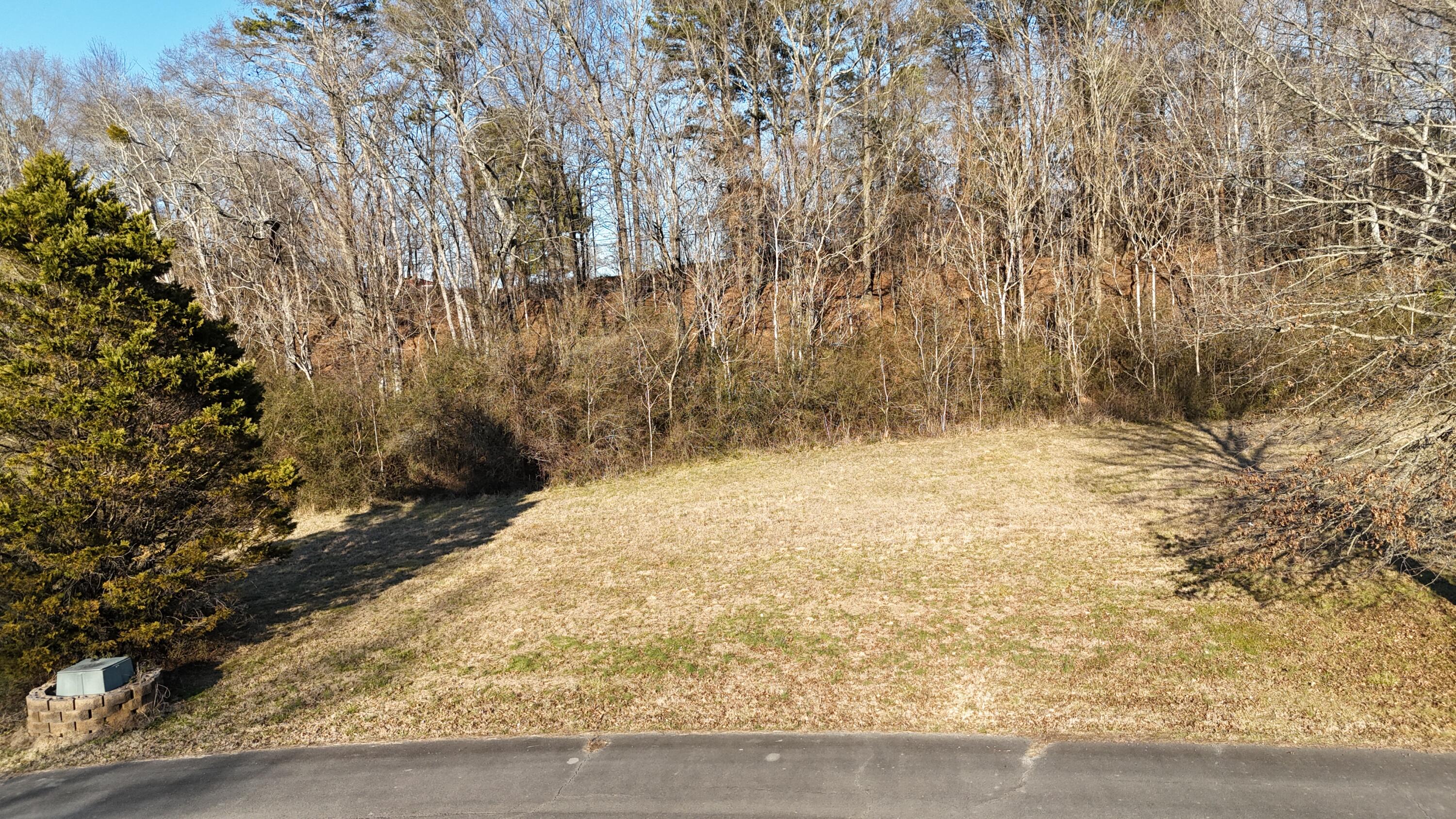 109 Tadpole Lane Benton, TN 37307 - Photo 30 of 48 dji_fly_20260209_163622_0090_17706753815