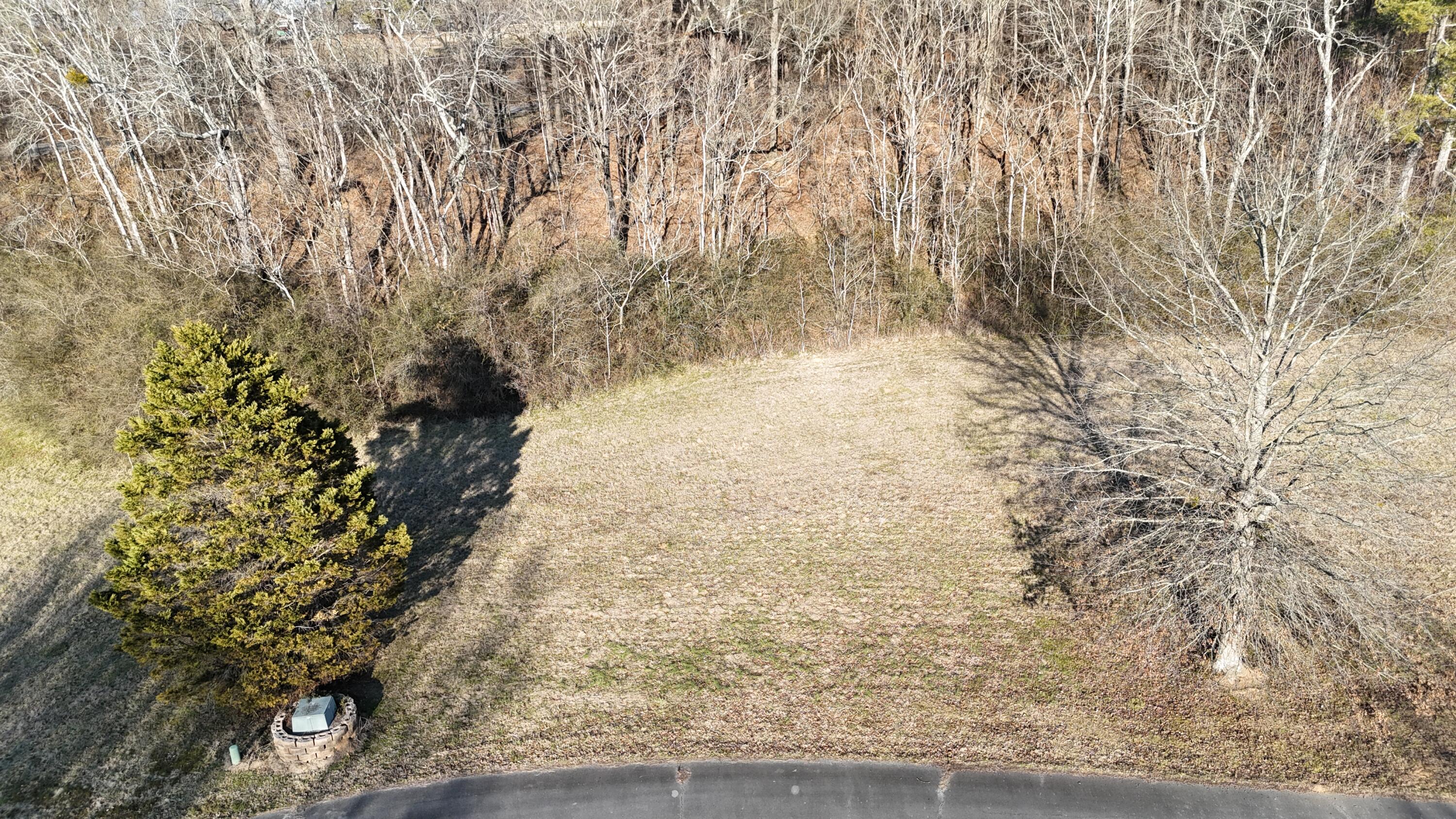 109 Tadpole Lane Benton, TN 37307 - Photo 33 of 48 dji_fly_20260209_163742_0093_17706753778