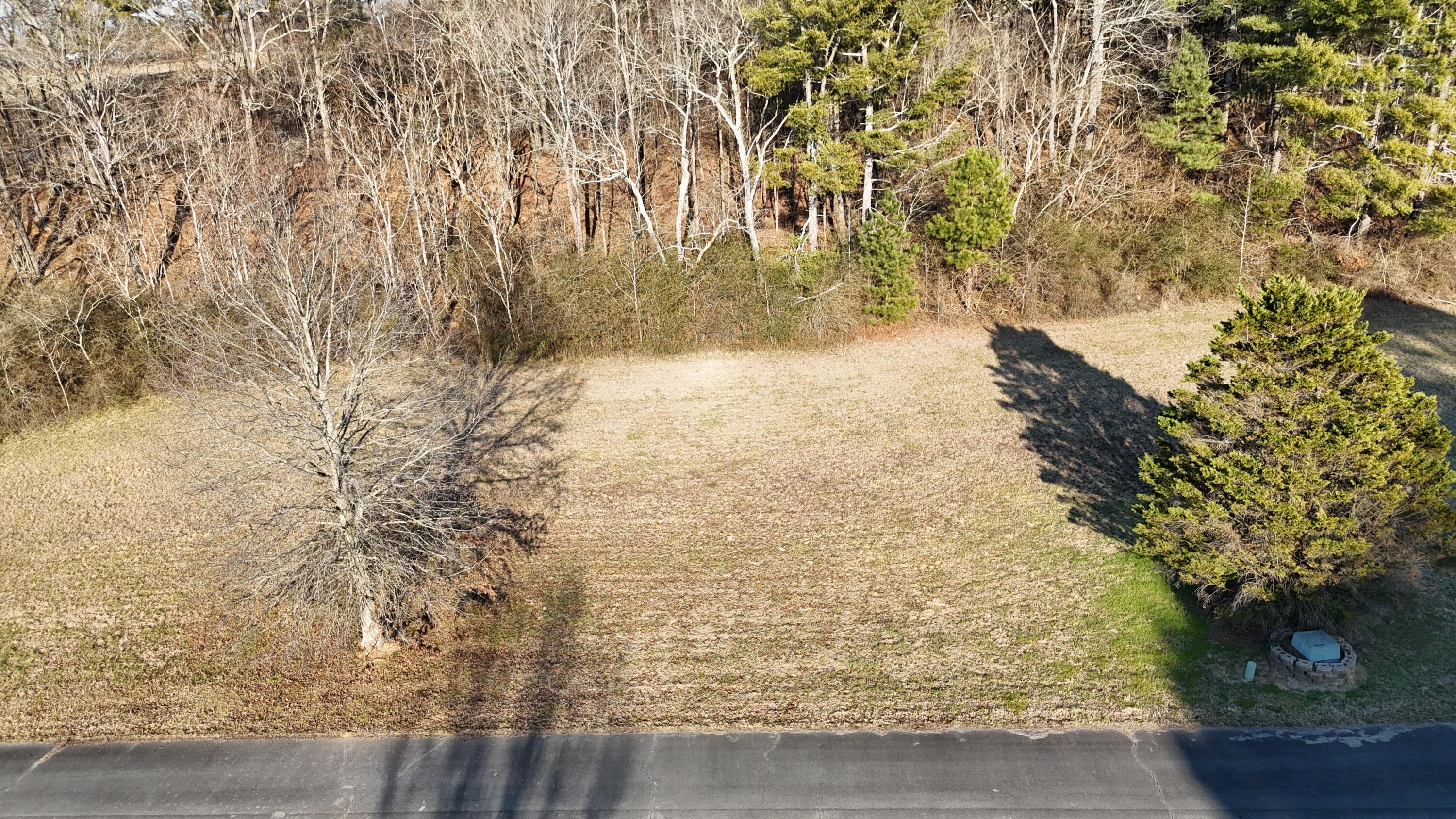 109 Tadpole Lane Benton, TN 37307 - Photo 34 of 48 dji_fly_20260209_163754_0094_17706753762