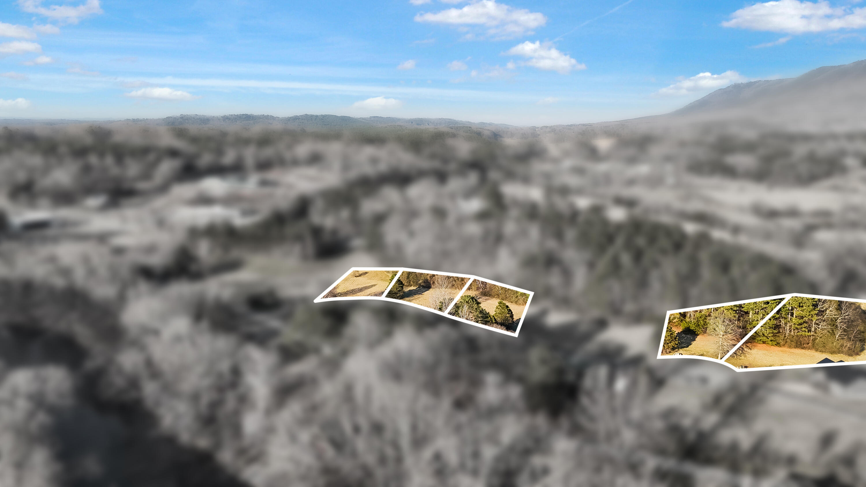 109 Tadpole Lane Benton, TN 37307 - Photo 43 of 48 1