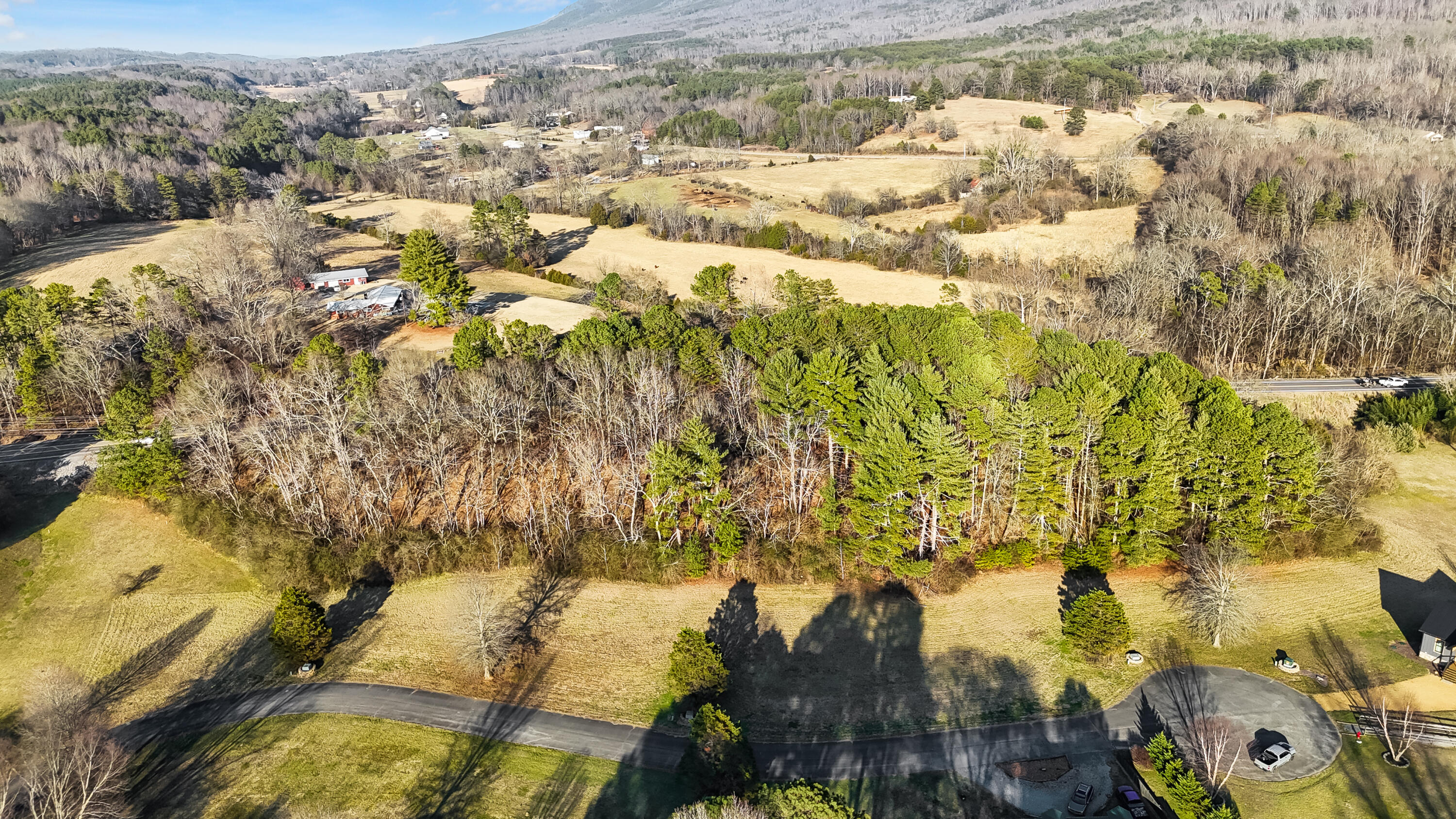 109 Tadpole Lane Benton, TN 37307 - Photo 44 of 48 dji_fly_20260209_164308_0112_17706753395