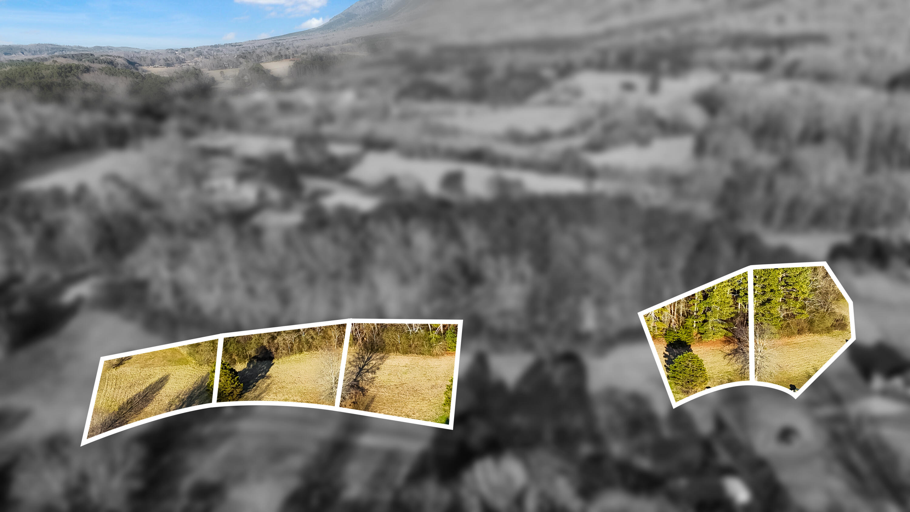 109 Tadpole Lane Benton, TN 37307 - Photo 46 of 48 dji_fly_20260209_164316_0113_17706753383