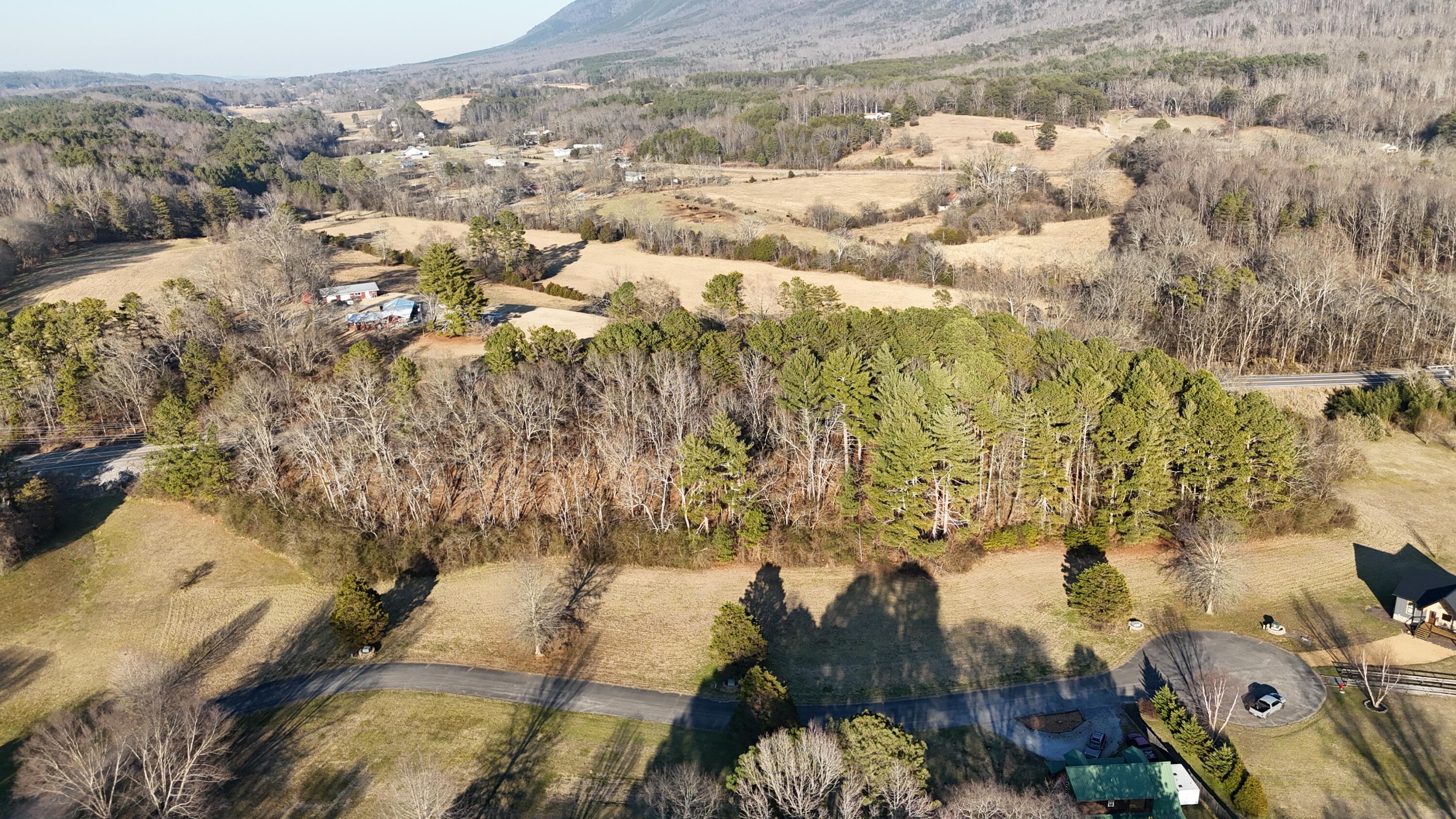 109 Tadpole Lane Benton, TN 37307 - Photo 6 of 48 dji_fly_20260209_164316_0113_17706753383