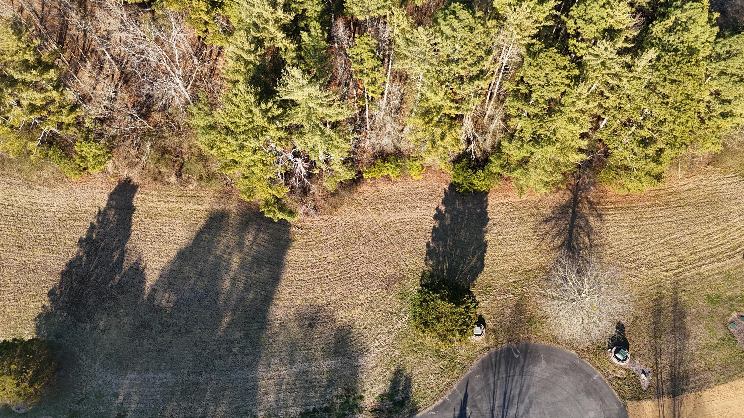 109 Tadpole Lane Benton, TN 37307 - Photo 10 of 48 dji_fly_20260209_164040_0102_17706753575