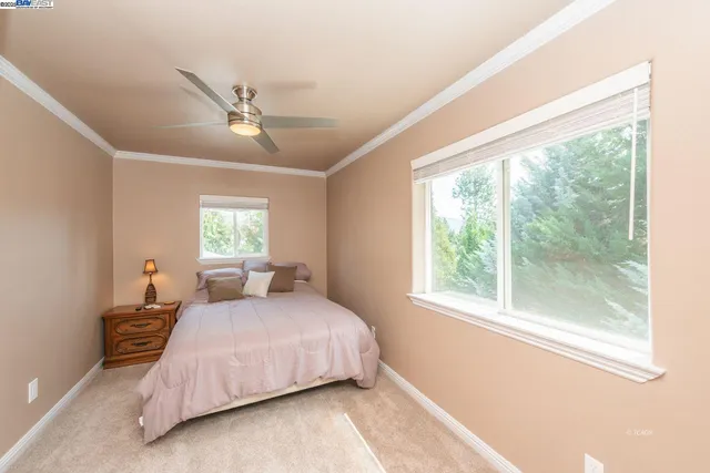 a bedroom with a large bed and a window