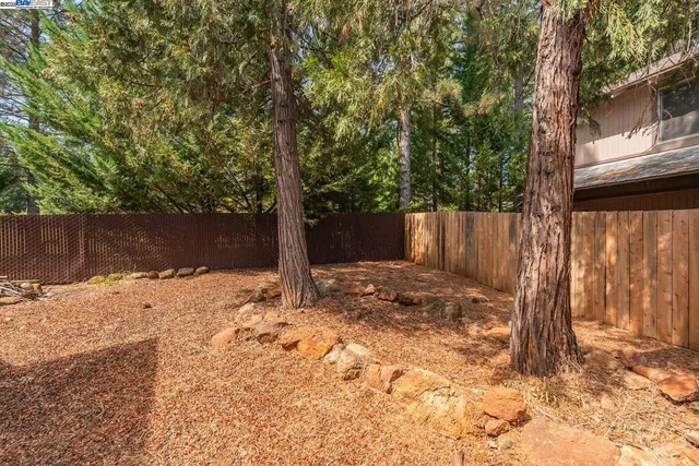 a backyard of a house with a tree