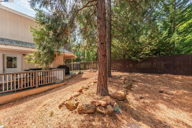 a view of a pathway of a yard with wooden fence
