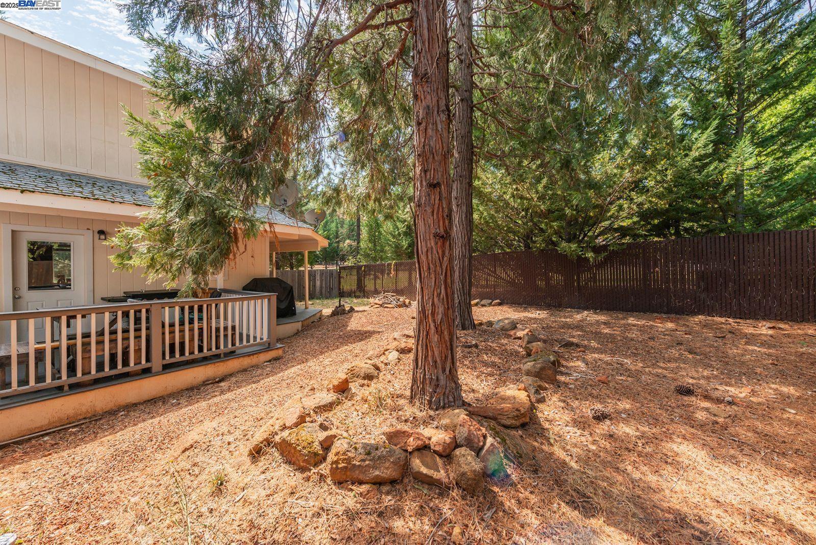 250 Mary Avenue Trinity Center, CA 96091 - Photo 47 of 49 a view of a pathway of a yard with wooden fence