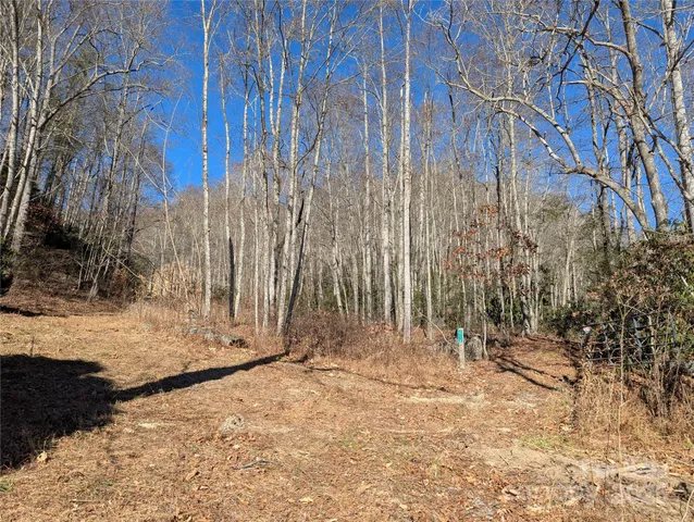 a view of wooden fence and trees