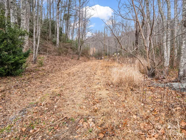 a view of backyard of a house