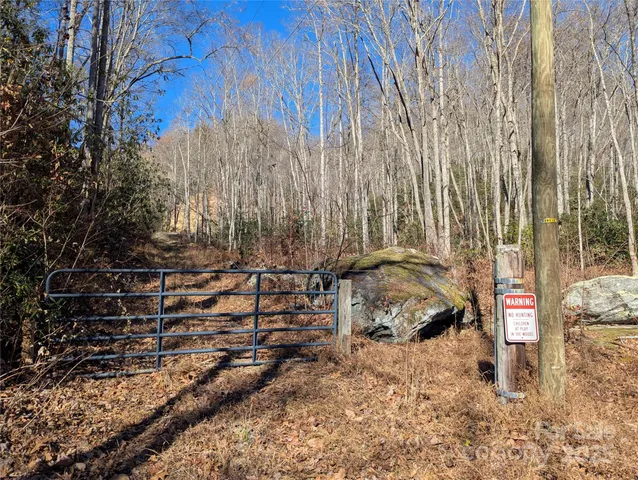a view of a forest with trees