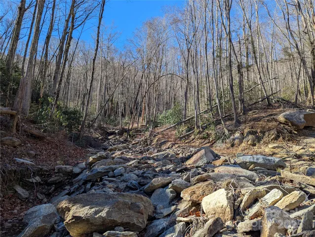 a view of backyard with green space