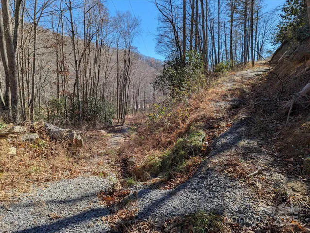 a view of dirt yard with a large tree