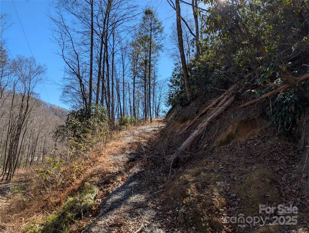 a view of wooden fence and trees