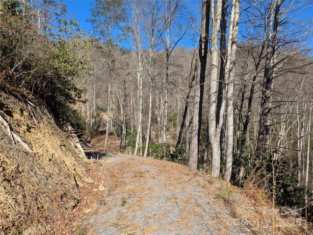 a view of bushes and trees