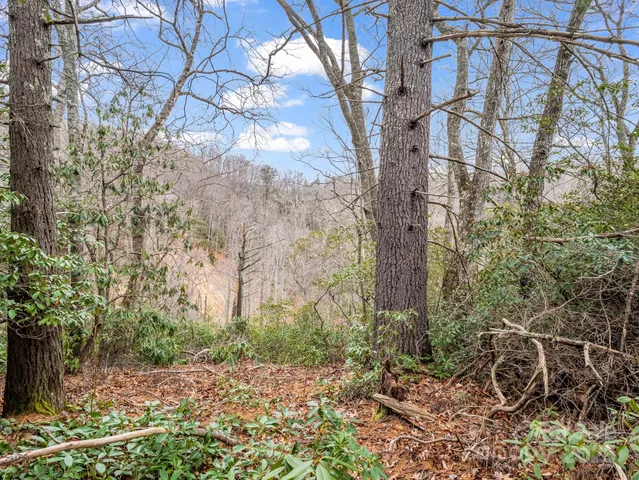 a view of outdoor space and trees