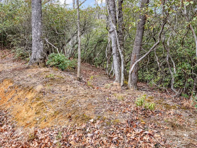 a view of backyard with wooden fence and a bench