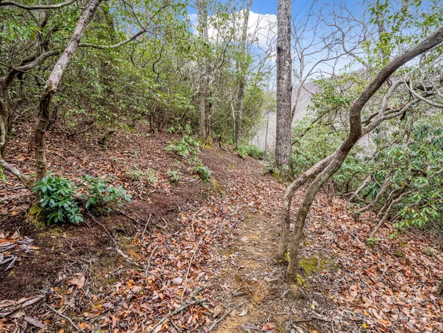 a view of a dry yard with mountains in the background