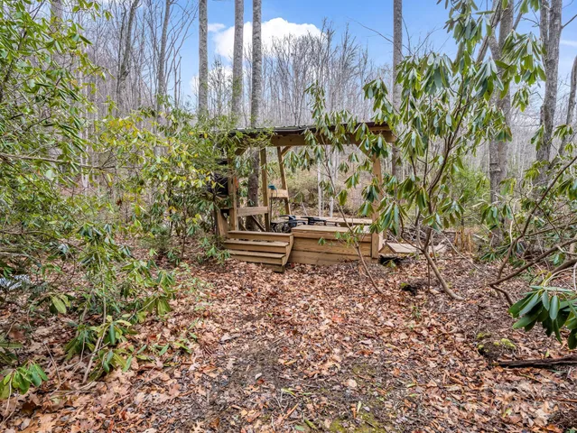 a view of a dry yard with mountains in the background