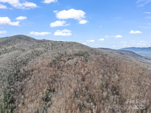a view of a yard with large trees