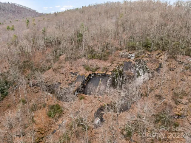 a view of a yard with large trees