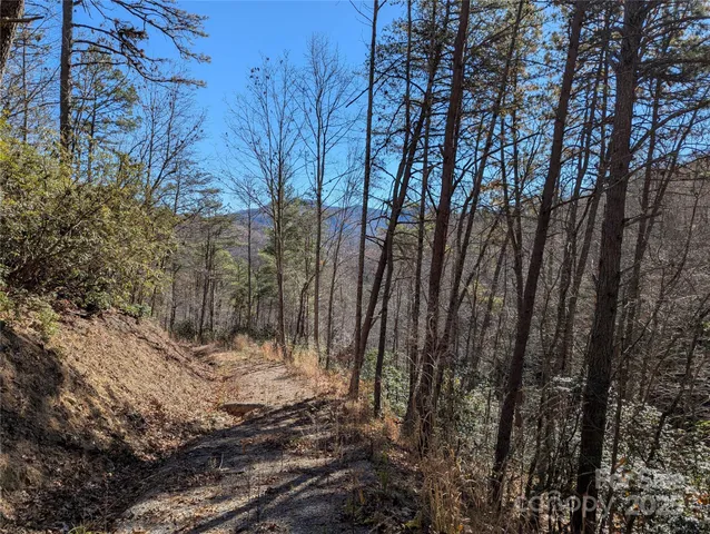 a view of outdoor space with a grill