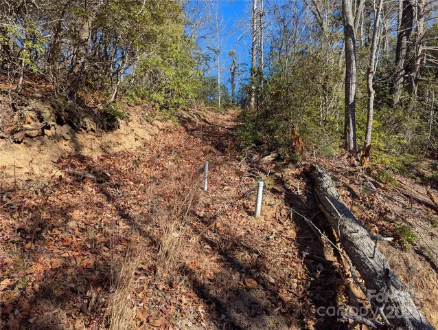 a view of backyard with green space