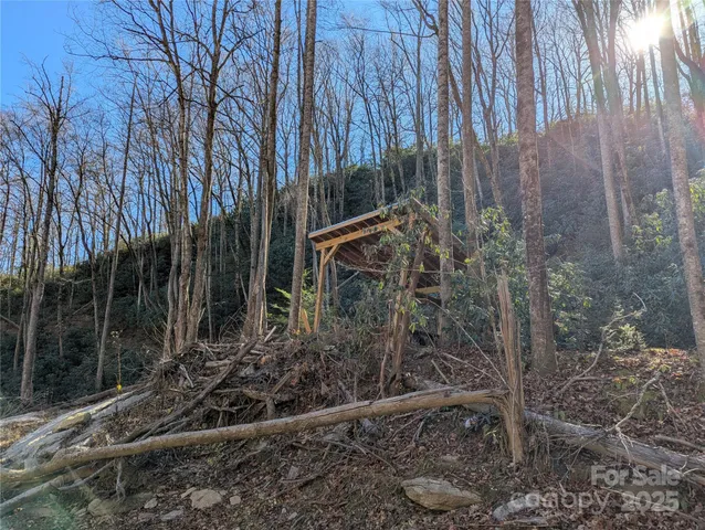 a view of a yard with large trees