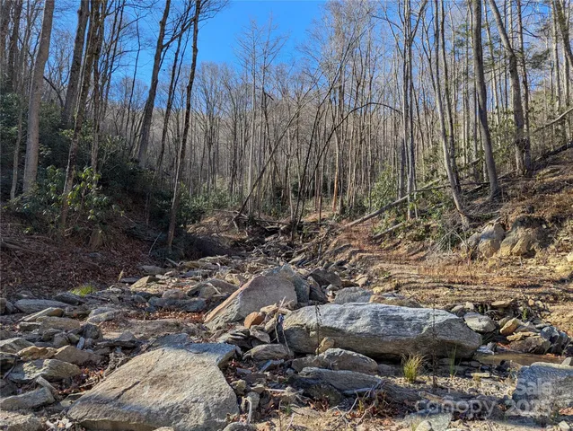 a view of outdoor space with lots of trees