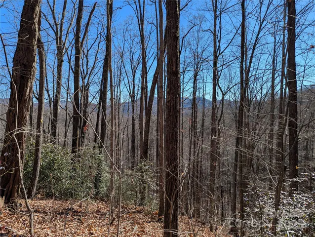 a view of water heater and trees in the background
