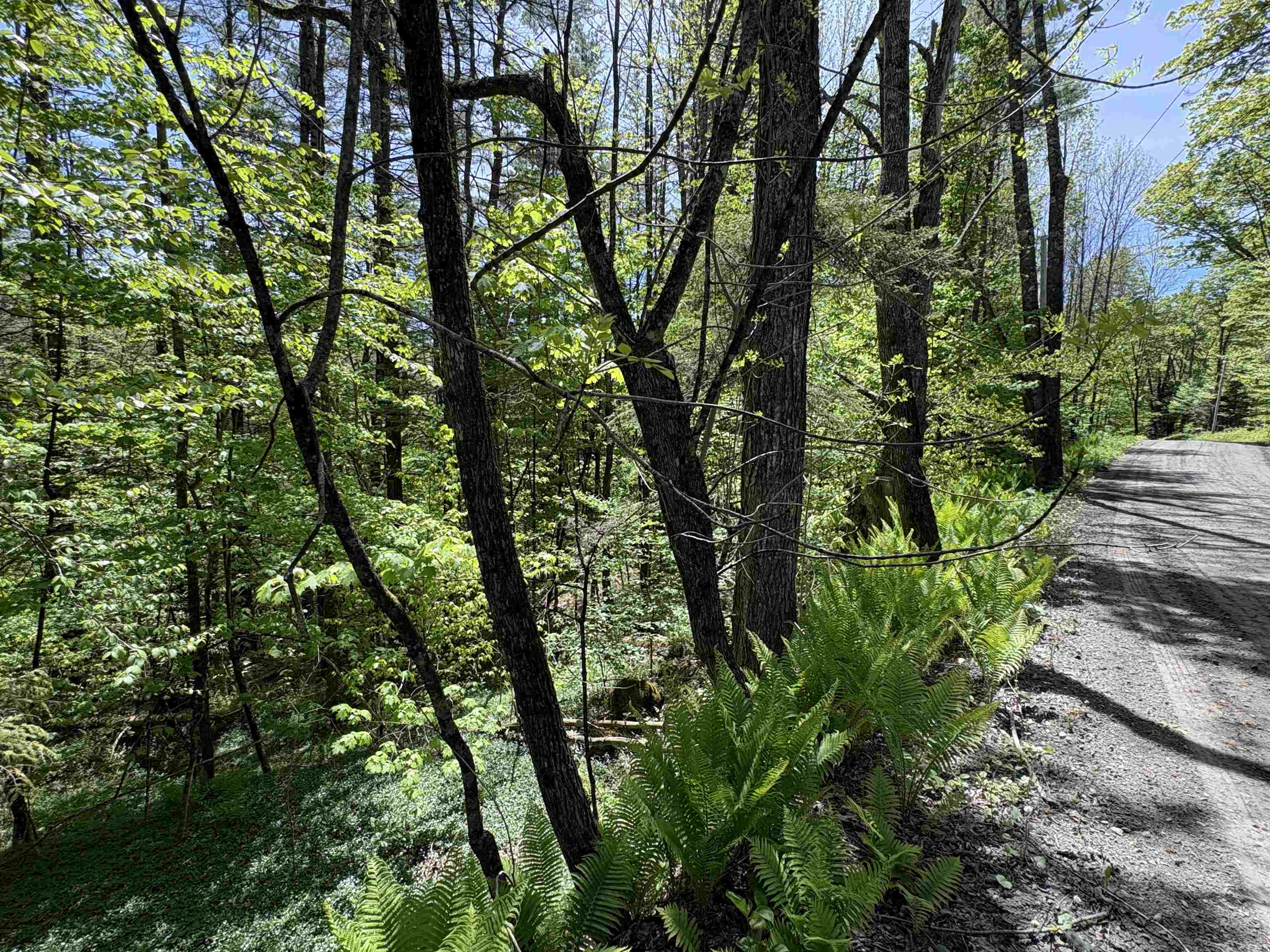 0 Bear Hill Road Randolph, VT 05060 - Photo 11 of 15