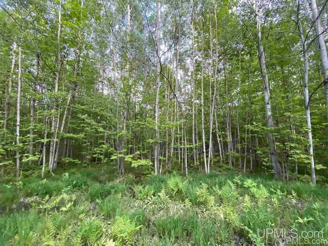Tbd Dalton Road Skandia, MI 49885 - Photo 2 of 14
