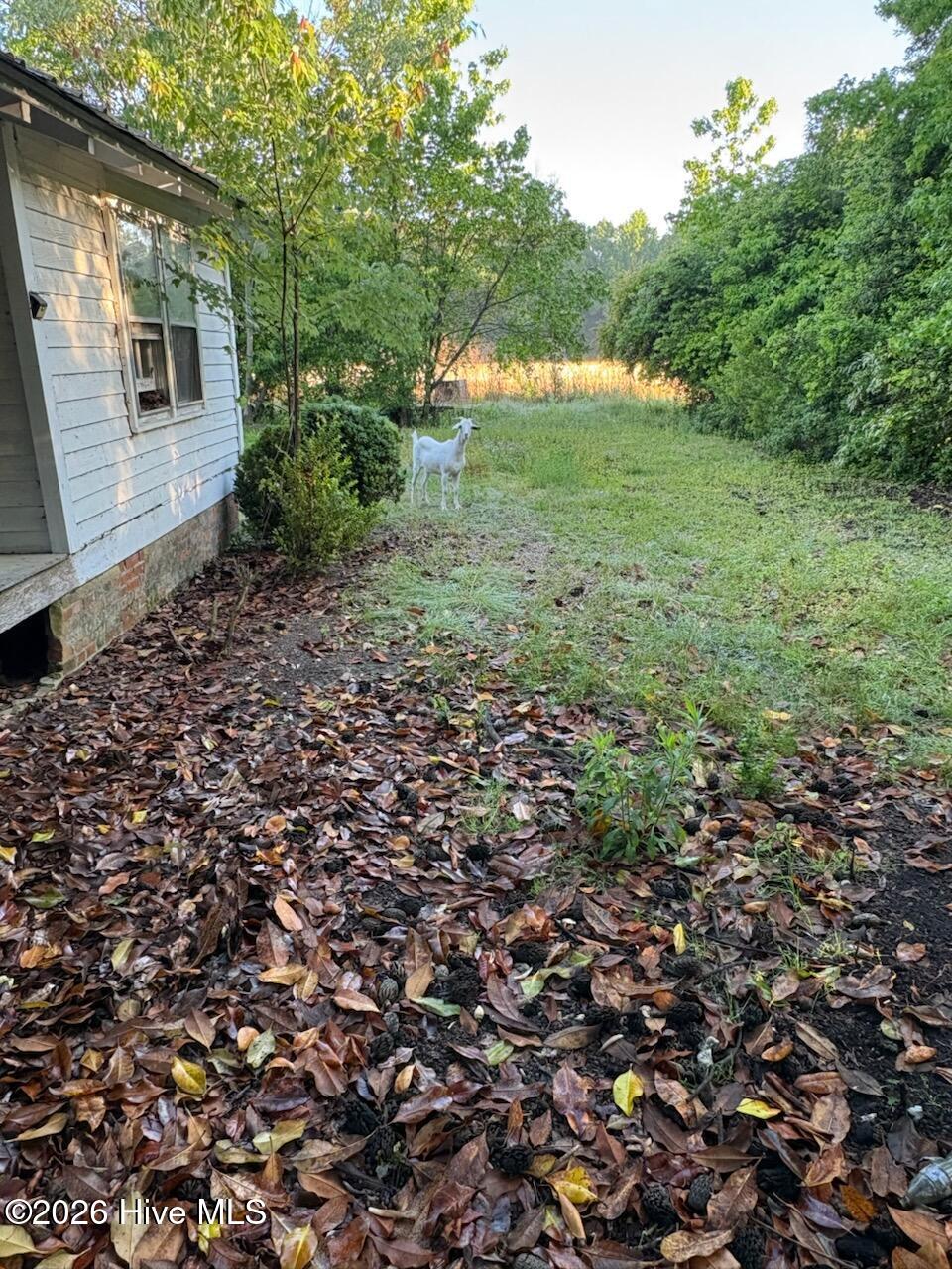4076 Cherry Grove Road Cerro Gordo, NC 28430 - Photo 11 of 15 Side