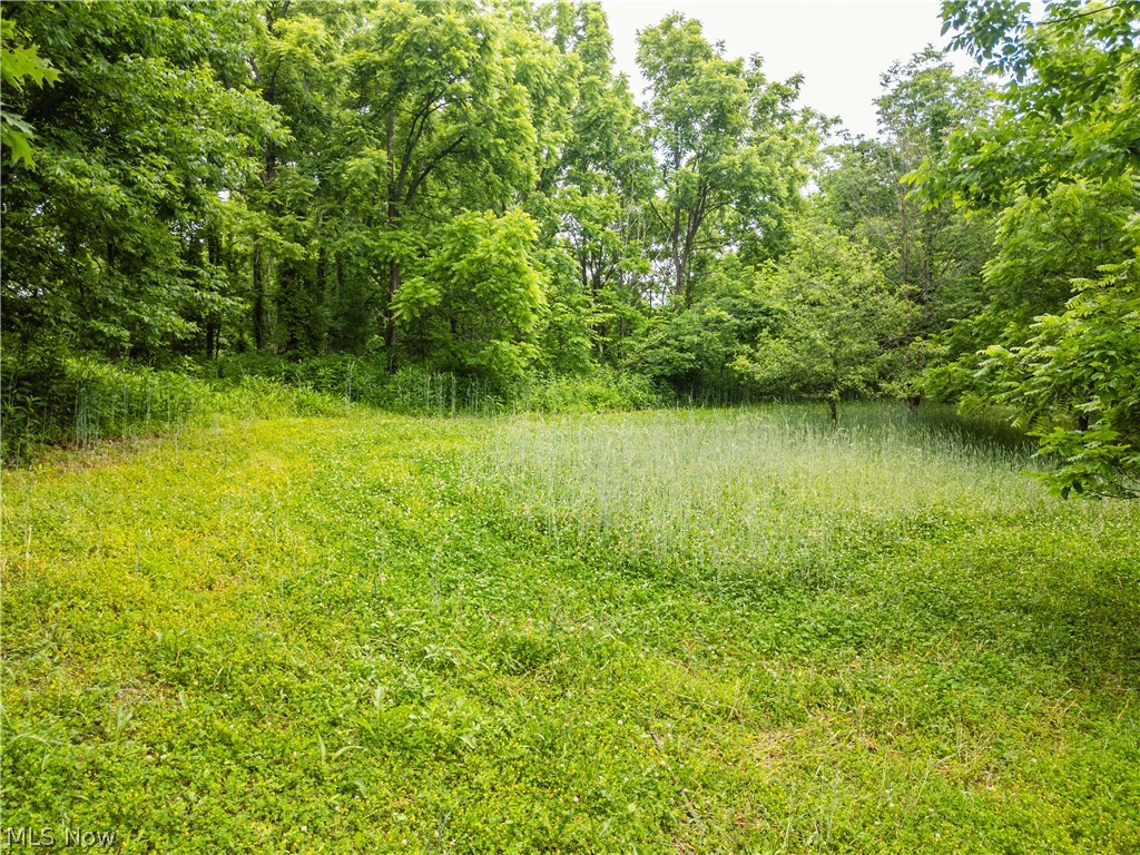 Taylor Road Cambridge, OH 43725 - Photo 35 of 48