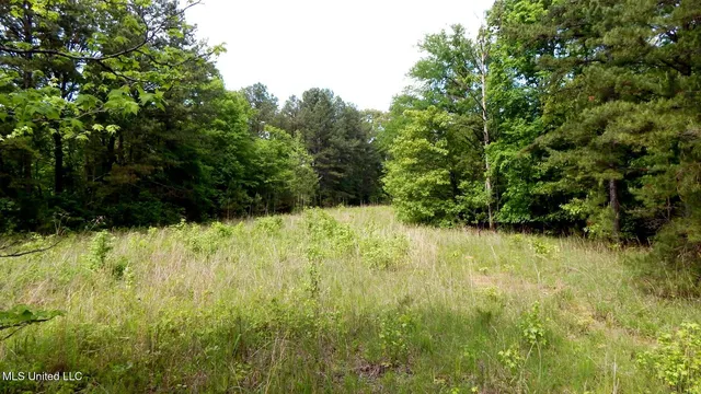 $22,950 | 1079 Saulsbury Road, Walnut, MS 38683