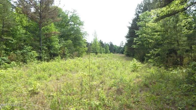 $22,950 | 1079 Saulsbury Road, Walnut, MS 38683