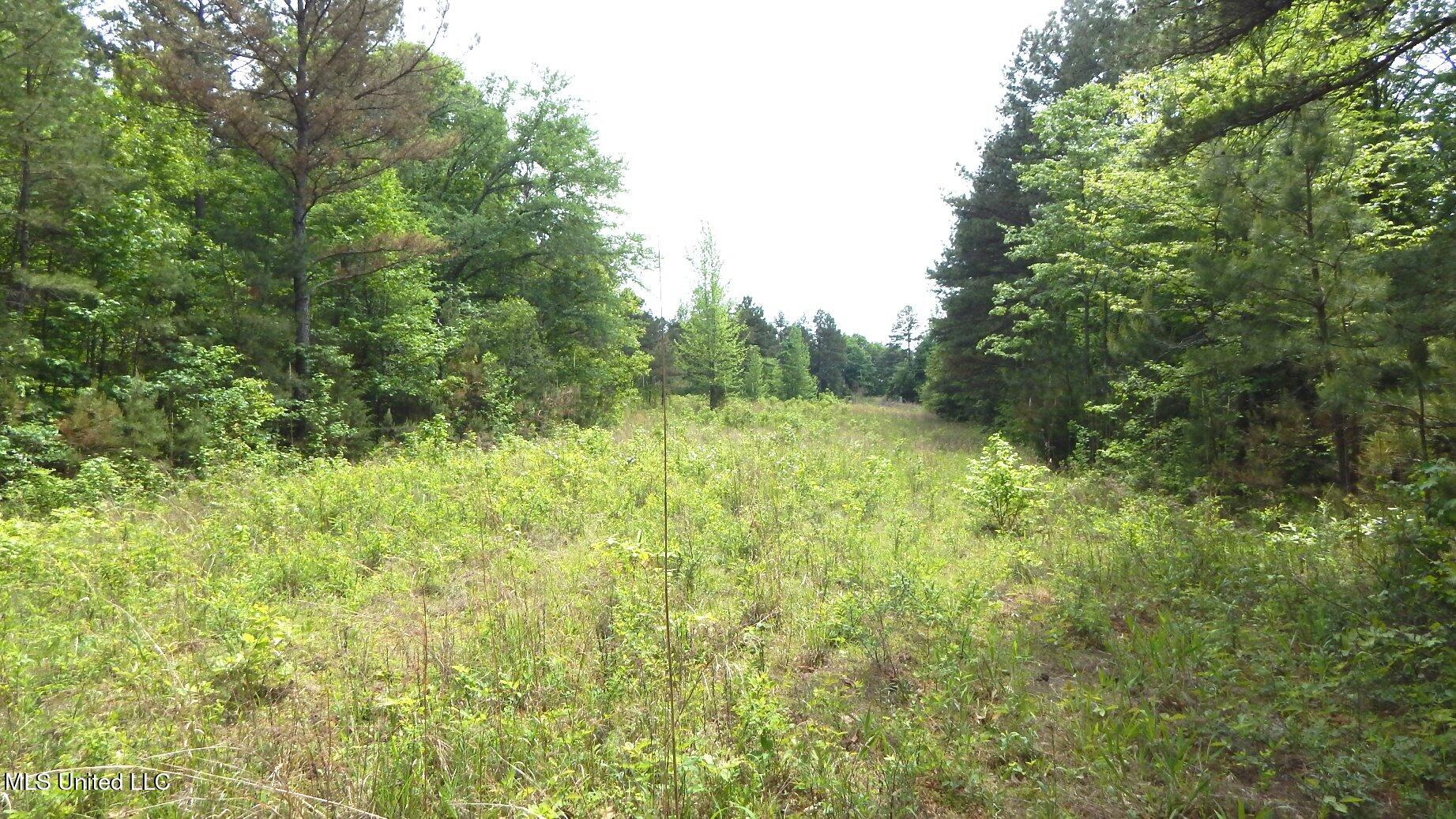 1079 Saulsbury Road Walnut, MS 38683 - Photo 6 of 18 DSCN6843