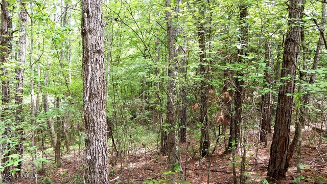 $22,950 | 1079 Saulsbury Road, Walnut, MS 38683