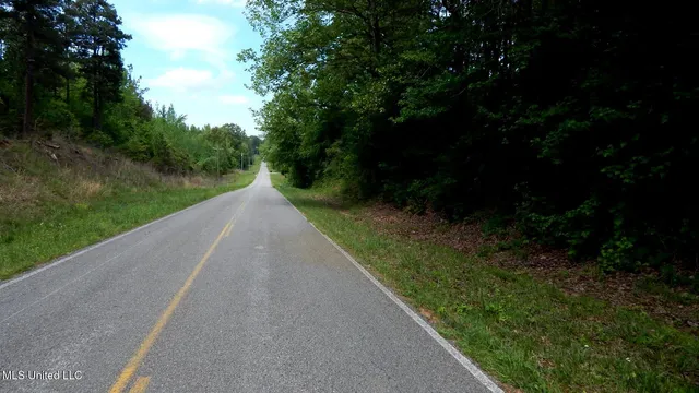 $22,950 | 1079 Saulsbury Road, Walnut, MS 38683