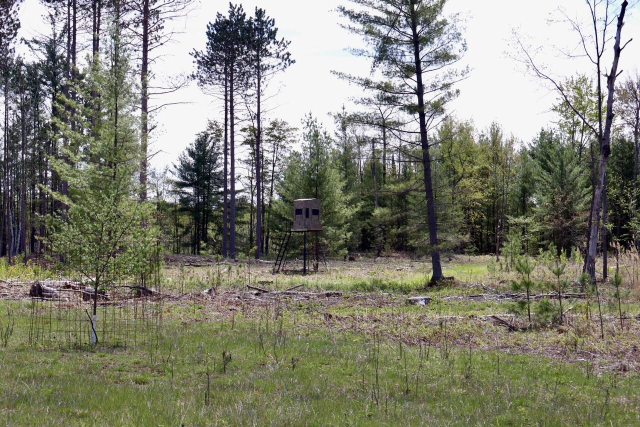 5826 South Morrison Road Alger, MI 48610 - Photo 56 of 86 046