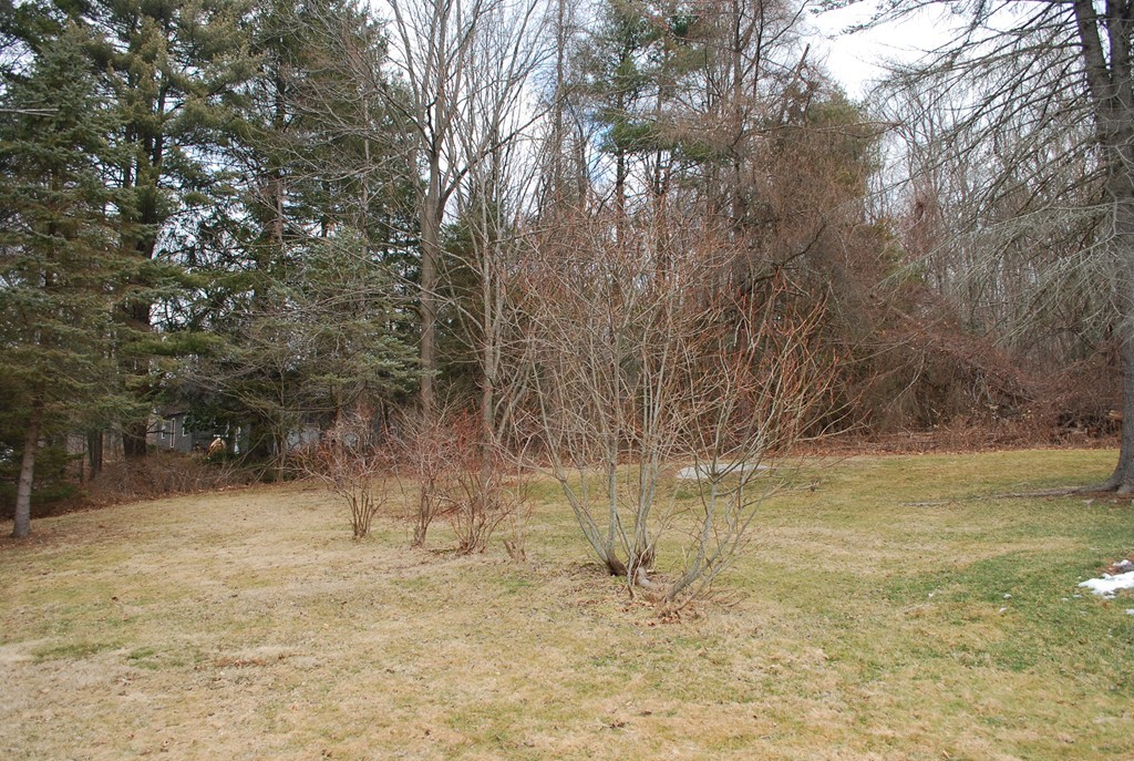 182 Ames Road Hampden, MA 01036 - Photo 9 of 18