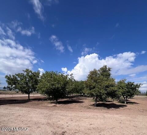 6044 High Desert Road Willcox, AZ 85643 - Photo 17 of 22 Fruit Trees