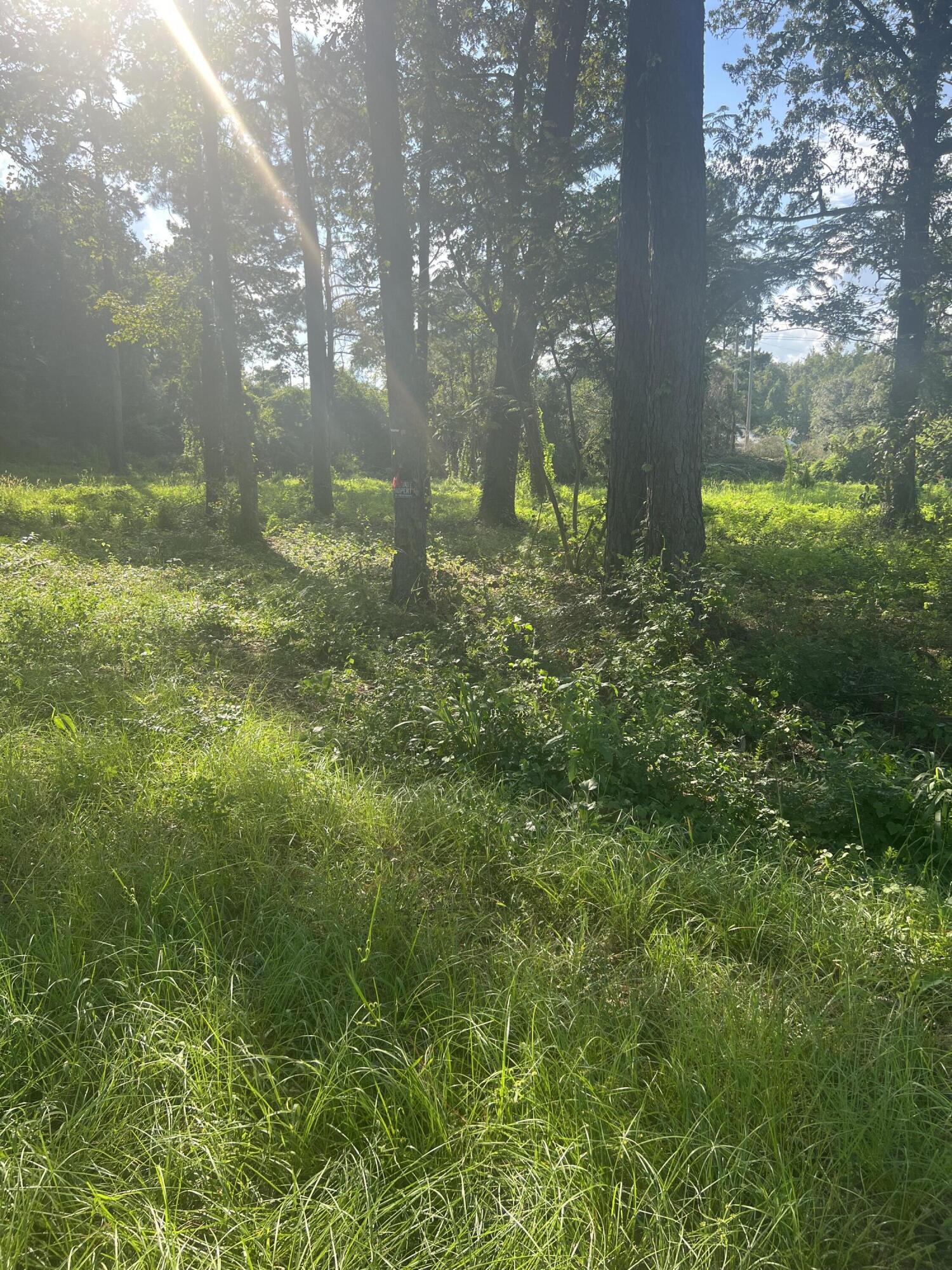 4390 St Paul Road Summerton, SC 29148 - Photo 1 of 2 IMG-2032