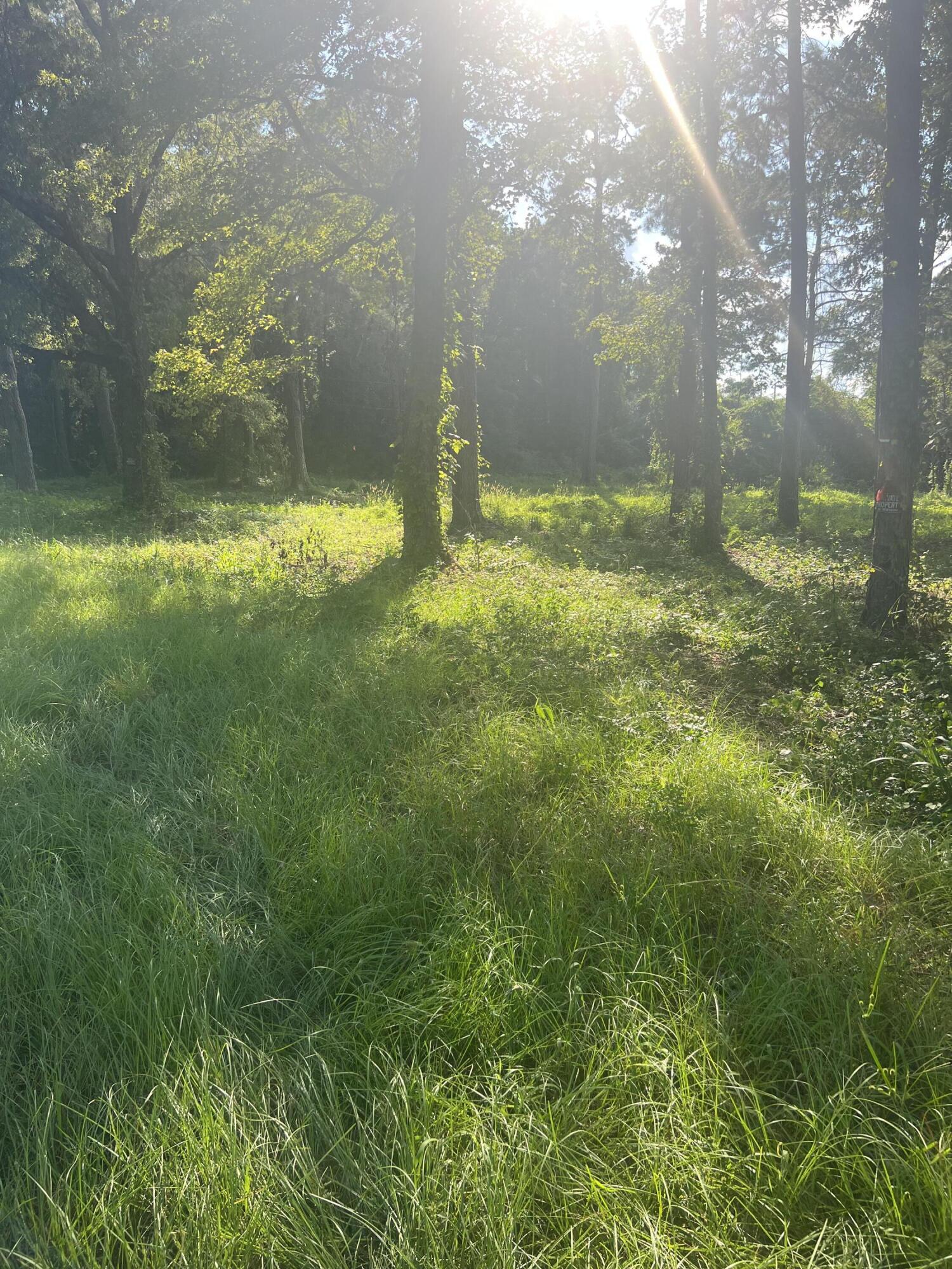 4390 St Paul Road Summerton, SC 29148 - Photo 2 of 2 IMG-2033